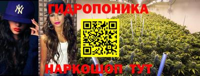 круглые Заволжье