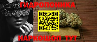 крисы Заводоуковск