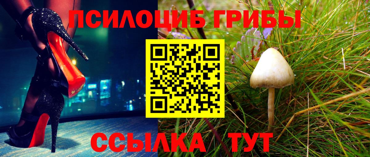 Псилоцибиновые грибы MAGIC MUSHROOMS  Вход с VPN  Владимир 